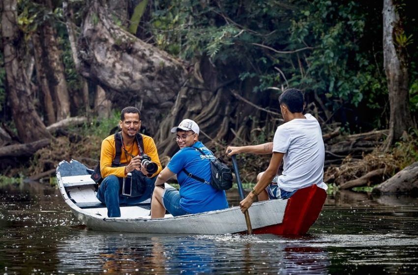  Imprensa no Círio de Caraparu, inscrições para o Prêmio Sicredi de Comunicação em Rede e premiações para os jornalistas